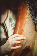 hands on the strings of a musical instrument close-up