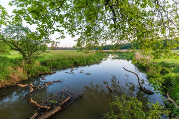 Beautiful lake landscape with green trees