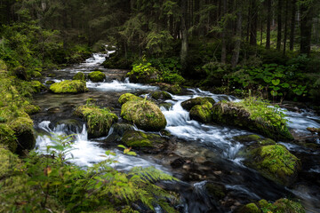 waterfall in the forest