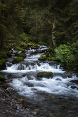 waterfall in the forest