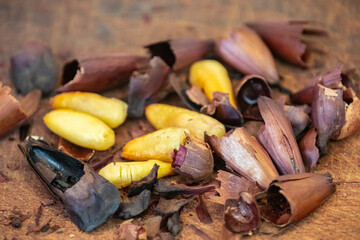 Top View salt roasted pine nut. Isolated in fine detail.