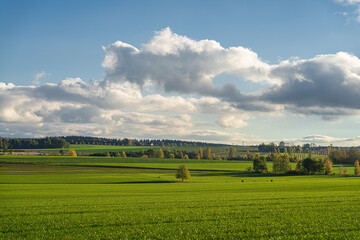 Landschaft in Sachsen