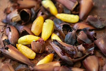 Top View salt roasted pine nut. Isolated in fine detail.