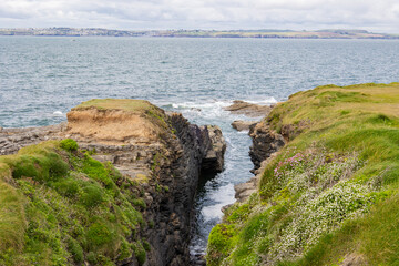 Cliffs and wildflowers in the spring on the Hook Peninsula of Ireland overlooking the Atlantic Ocean.