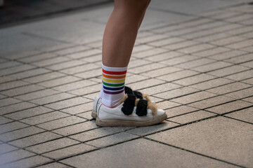 Shoes and Colorful socks
