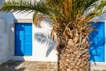 Palm tree in front of small church with blue doors in Kastro village, Sifnos island, Greece