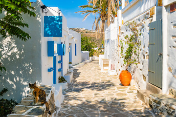 Cat sitting in narrow street of Kastro village with typical Greek architecture, Sifnos island,...