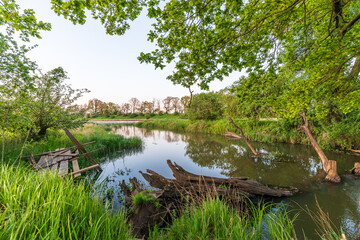 Beautiful lake landscape with green trees