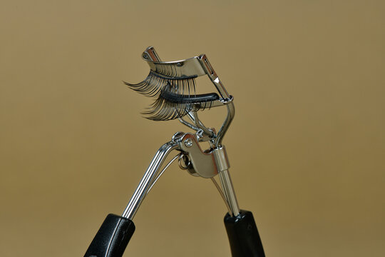 pair of fake eyelashes in an eyelash curler