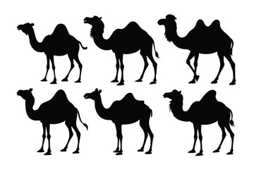 Set of bactrian Camel black silhouette vector on white background