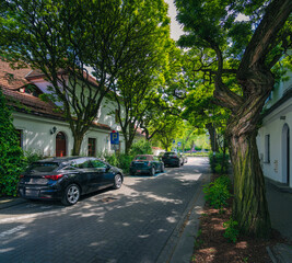 Auta parkujące na pięknej zielonej ulicy na Warszawskim Żoliborzu