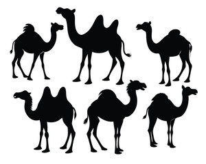 Set of bactrian Camel black silhouette vector on white background