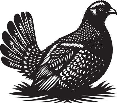 black quail bird sitting in grass clip art preview