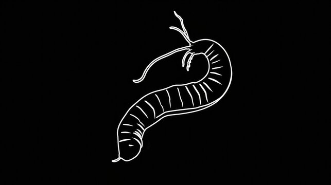 white worm on black background clip art preview
