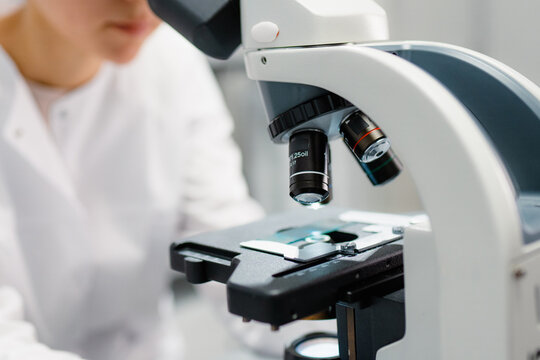 Work in the laboratory