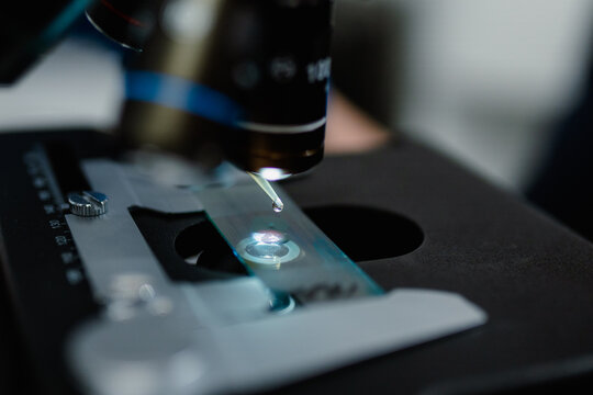 Close-up of microscope details