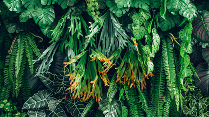 Close-up of a group of green leaves, providing a textured and abstract nature background. Rich foliage textures, exotic greenery, and botanical patterns..