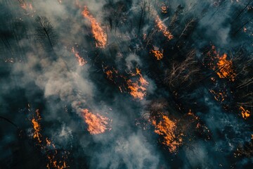 Aerial view of a raging fire in the woods, suitable for environmental and disaster concepts