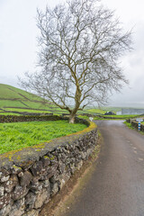 Stone walls and fields on Terceira Island, Azores.