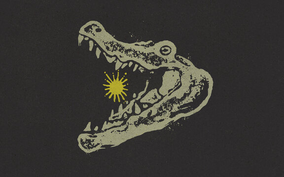 aligator