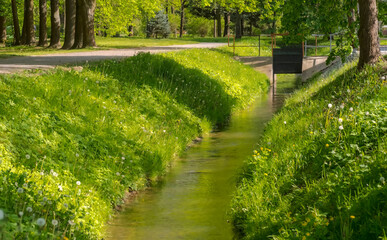 Kanał melioracyjny wśród wiosennej zieleni miejskiej. Piękna zieleń miasta w szczytowym okresie rozwoju wczesnowiosennego.