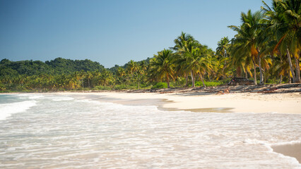 Palmenstrand Dominikanische Republik 