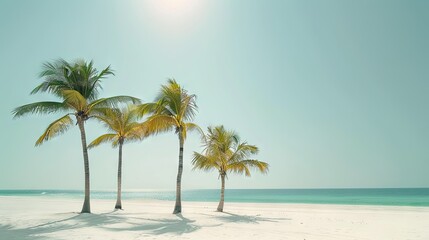 Obraz premium Tranquil Trio: Three Palm Trees Standing Tall on a Pristine White Sandy Beach