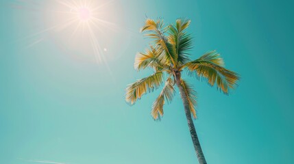 Obraz premium Solitary Palm Dancing Under a Heavenly Blue Sky