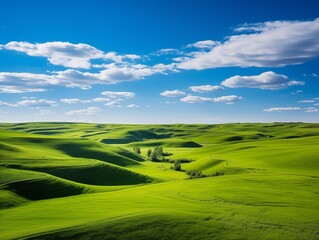 Obraz premium Photographer captures rolling green hills on a sunny day