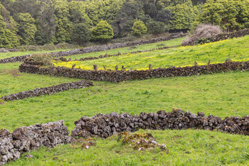 Stone walls and fields on Terceira Island, Azores.