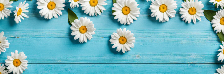 Obraz premium The banner. Daisy flowers on a blue background.
