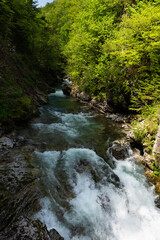 Turquoise river flowing through the Slovenian Canyon called Vintgar Gorge in Triglav National Park, Slovenia