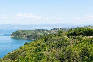 Fototapeta premium Green coastal landscapes at the Adriatic sea in the east of Slovenia, Slovenia