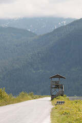 Grant Narrows Regional Park during a spring season in Pitt Meadows, British Columbia, Canada