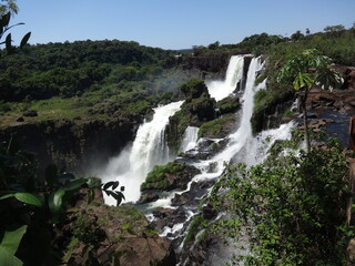 Fototapeta premium Iguazu falls 