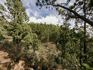 Places in Tenerife to visit on a trip