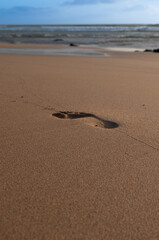 A foot print is in the sand on a beach. The sand is brown and the sky is blue
