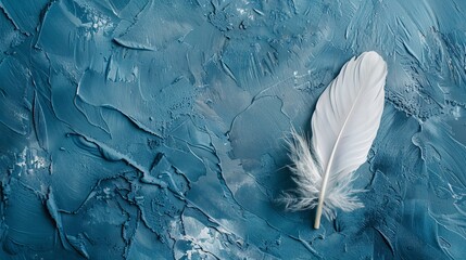 A white bird feather against a blue background.





