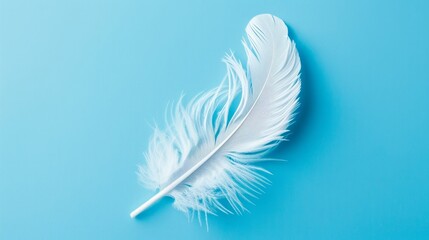A white bird feather against a blue background.





