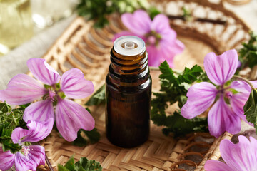 Mallow essential oil in a dark glass bottle