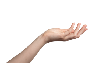 White empty hand of woman, female gesture. Isolated arm hold palm, open finger up take sign. Give business showing human object, side close young wrist. Space women, one right detail catch clear help.