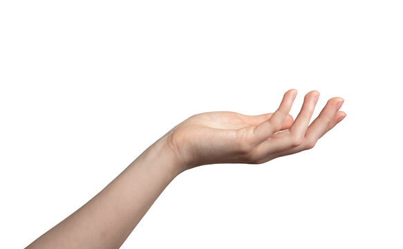 White empty hand of woman, female gesture. Isolated arm hold palm, open finger up take sign. Give business showing human object, side close young wrist. Space women, one right detail catch clear help.