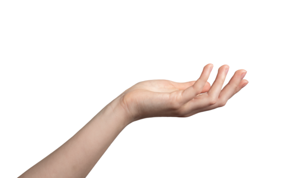 White empty hand of woman, female gesture. Isolated arm hold palm, open finger up take sign. Give business showing human object, side close young wrist. Space women, one right detail catch clear help.