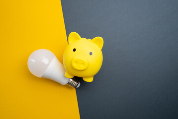 Light bulb and piggy bank. The idea of saving energy and accounting for finances in the concept of...