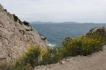 Sentier des douaniers sur la cote bleue avec les falaises et les genêts