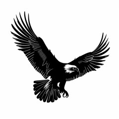 Obraz premium A black eagle is flying in the sky