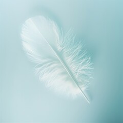 A minimalist background of soft, pastel blue, with a single, delicate white feather placed off-center, embodying simplicity and lightness.