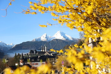 Watzmann, Berchtesgaden, Frühling, Berge, Alpen, Löwenzahn, Sommer, Blühen, 