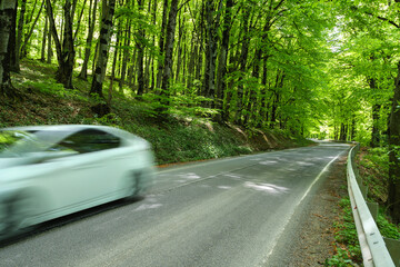 Obraz premium A white car is speeding along a winding road through a lush green forest, capturing the essence of movement and nature in spring.