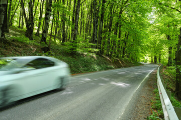 A white car is speeding along a winding road through a lush green forest, capturing the essence of...